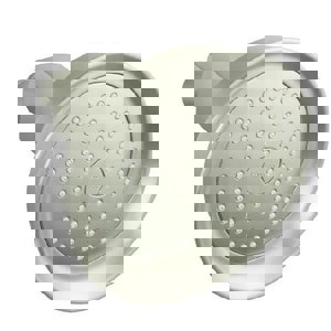 Single Function Showerhead in Vibrant Brushed Nickel